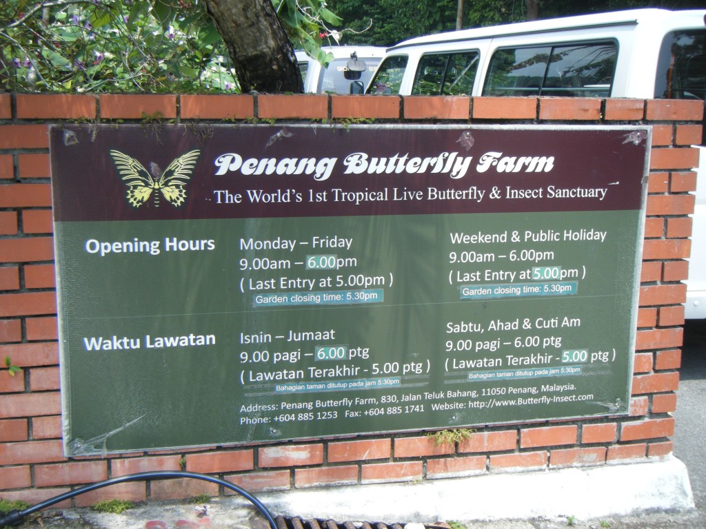 Butterfly Garden (2)