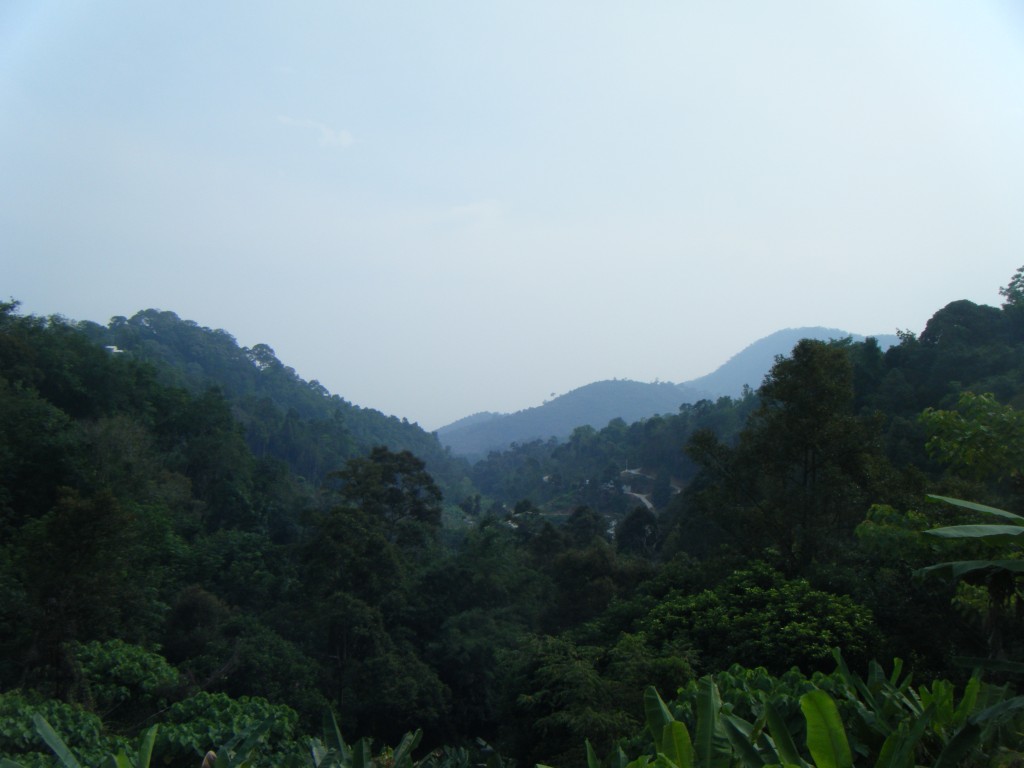 Tropical Fruit Farm Penang (5)