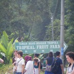 Tropical Fruit Farm Penang (7)