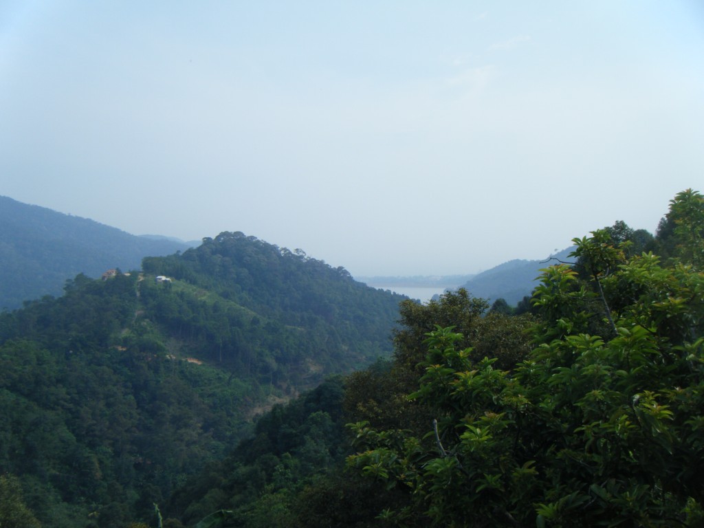 Tropical Fruit Farm Penang (8)