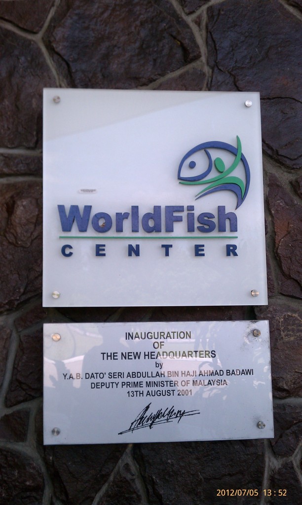 World Fish (2)