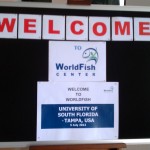 World Fish (3)