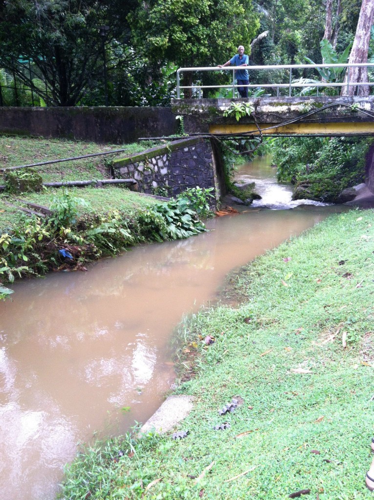 Water Watch Penang (4)