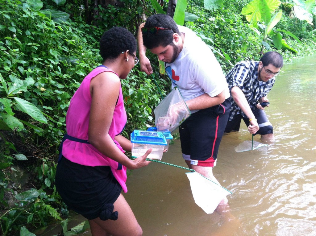 Water Watch Penang (7)